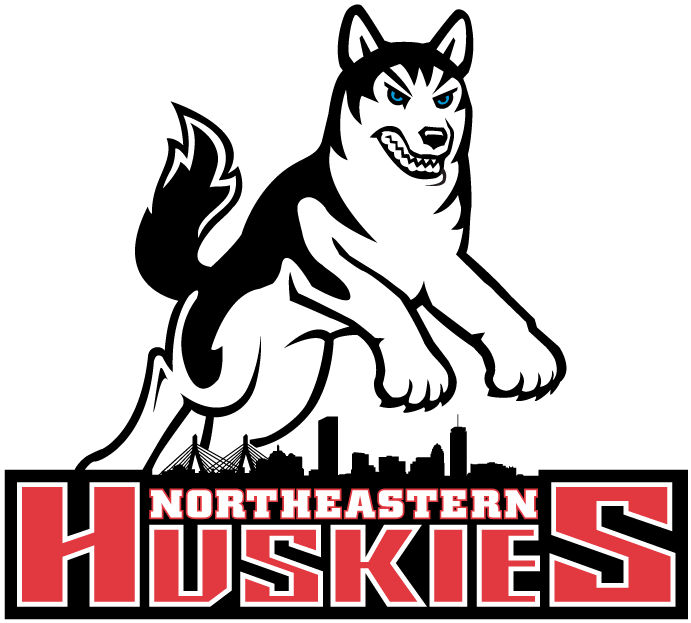 Northeastern Huskies 2001-2006 Primary Logo iron on transfers for T-shirts